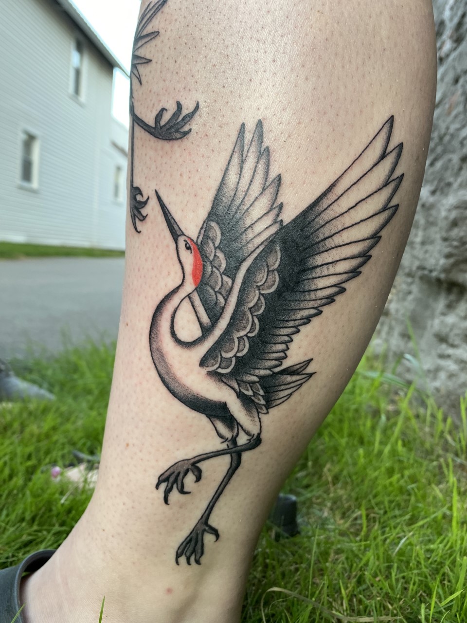 Share more than 70 sandhill crane tattoo super hot  ineteachers